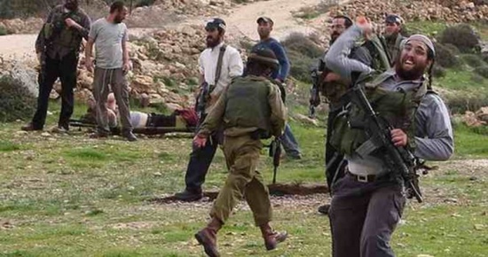 مستوطنون يعتدون على المواطنين في قريوت جنوب نابلس